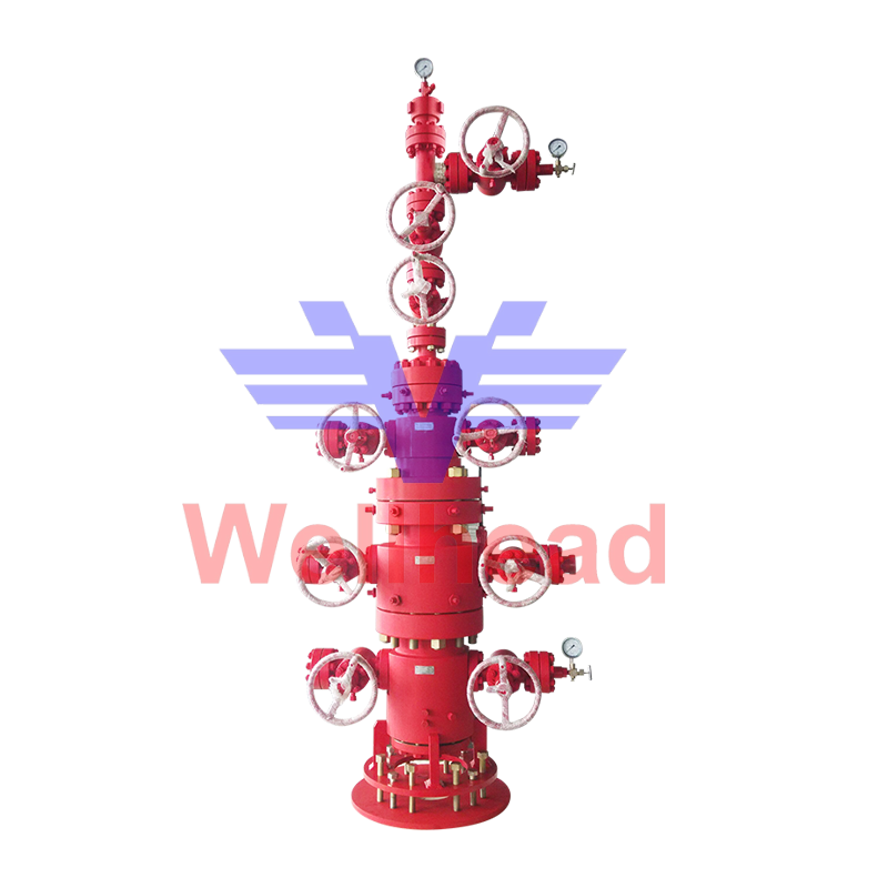  Wellhead and X-mas Tree Assy