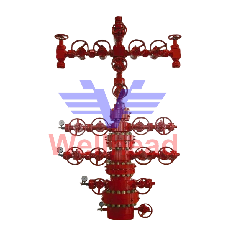  Wellhead and X-mas Tree Assy