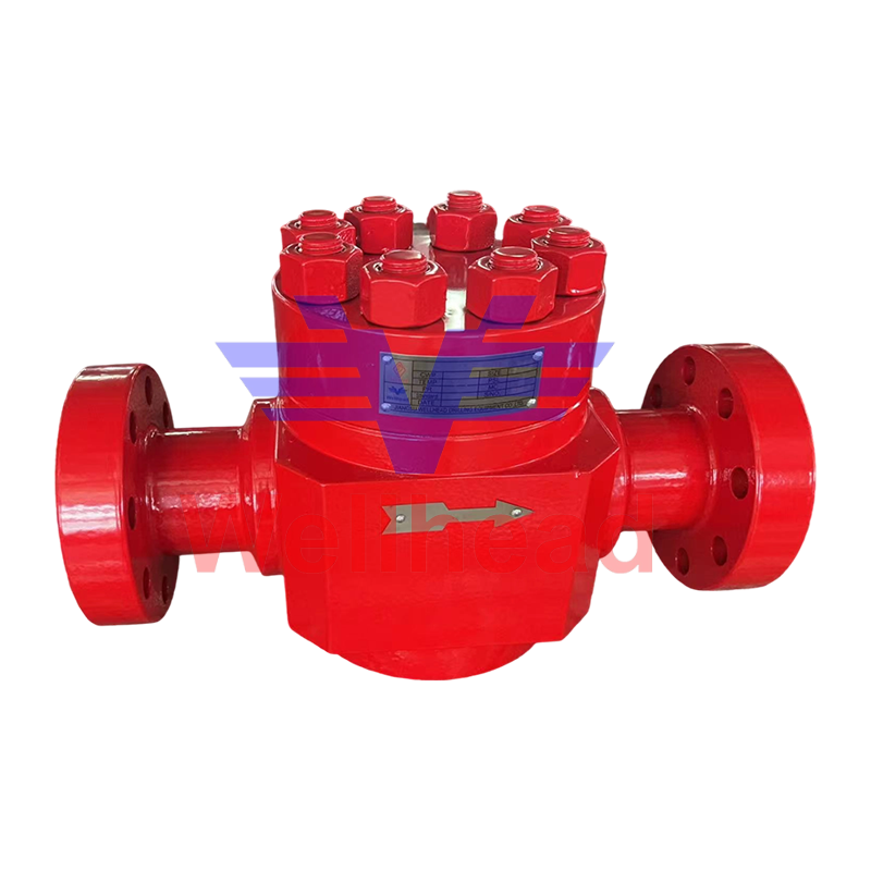 Swing Check Valve 2in-10000PSI