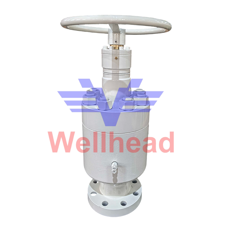 Adjustable Plug and Cage Choke Valve 4in-900LB