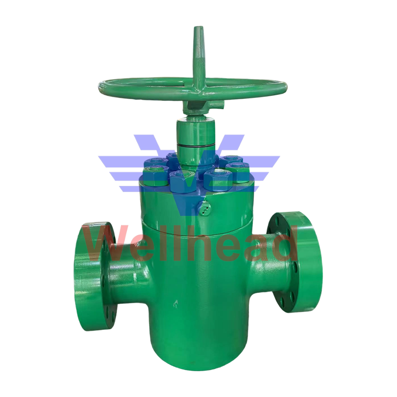 Cameron FLS Gate Valve