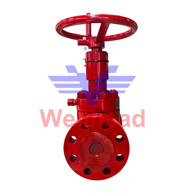 Cameron FC Gate Valve Cameron FC Gate Valve